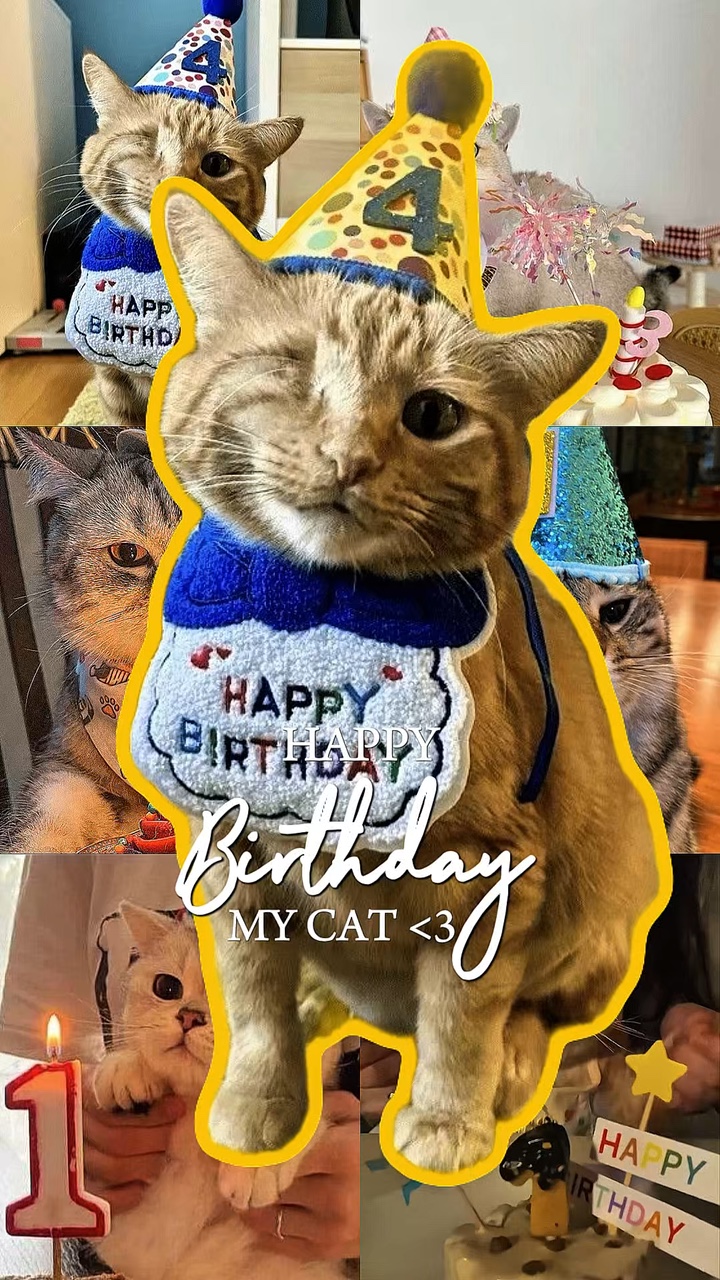 KEDİMİ HBD