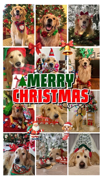 Feliz Natal