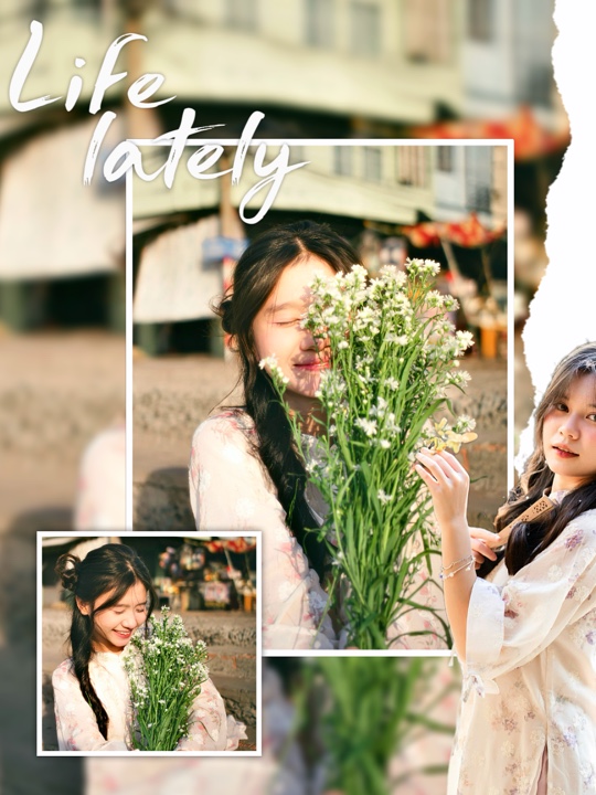Life Lately Postcard