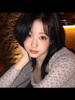 23張 追星女模板