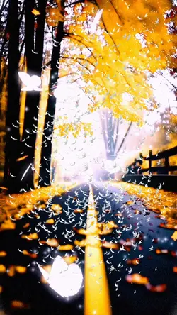 ๐NatuRe๐
#nature #am