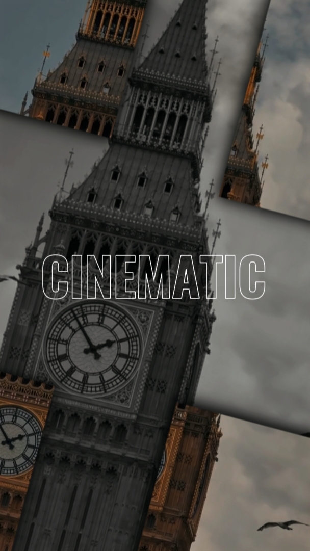 PROFESIONAL CINEMÁTICO 