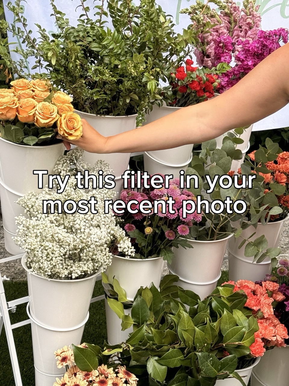 filter trend