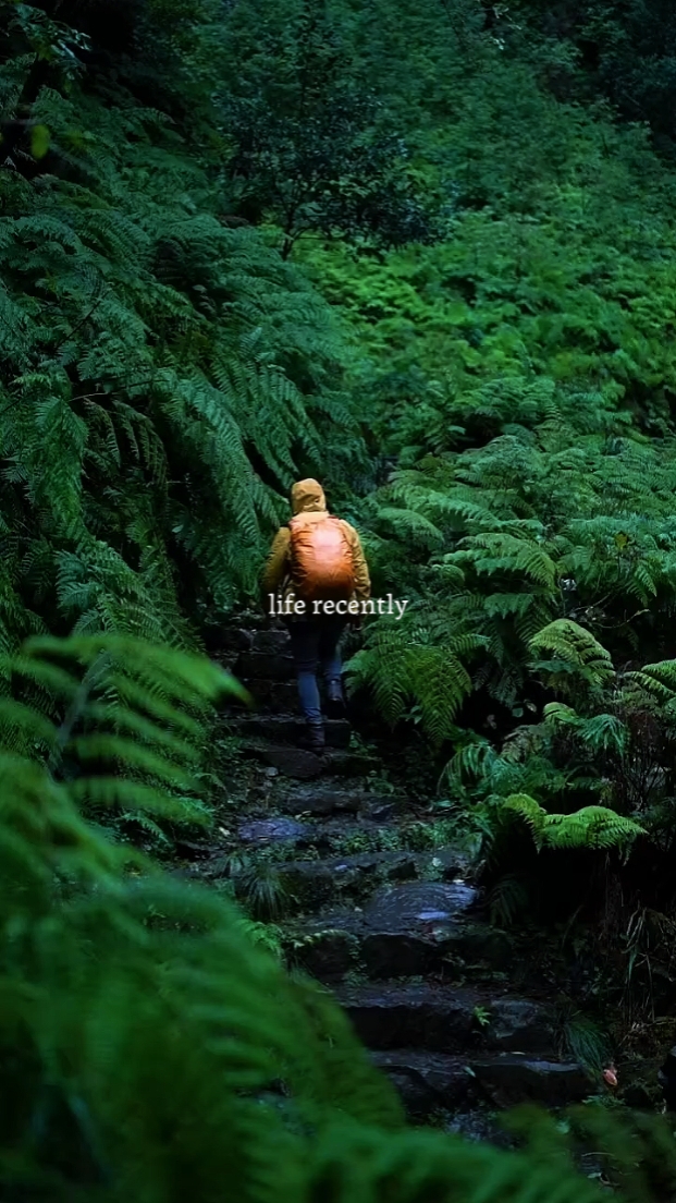 NATURALEZA DE VIAJE