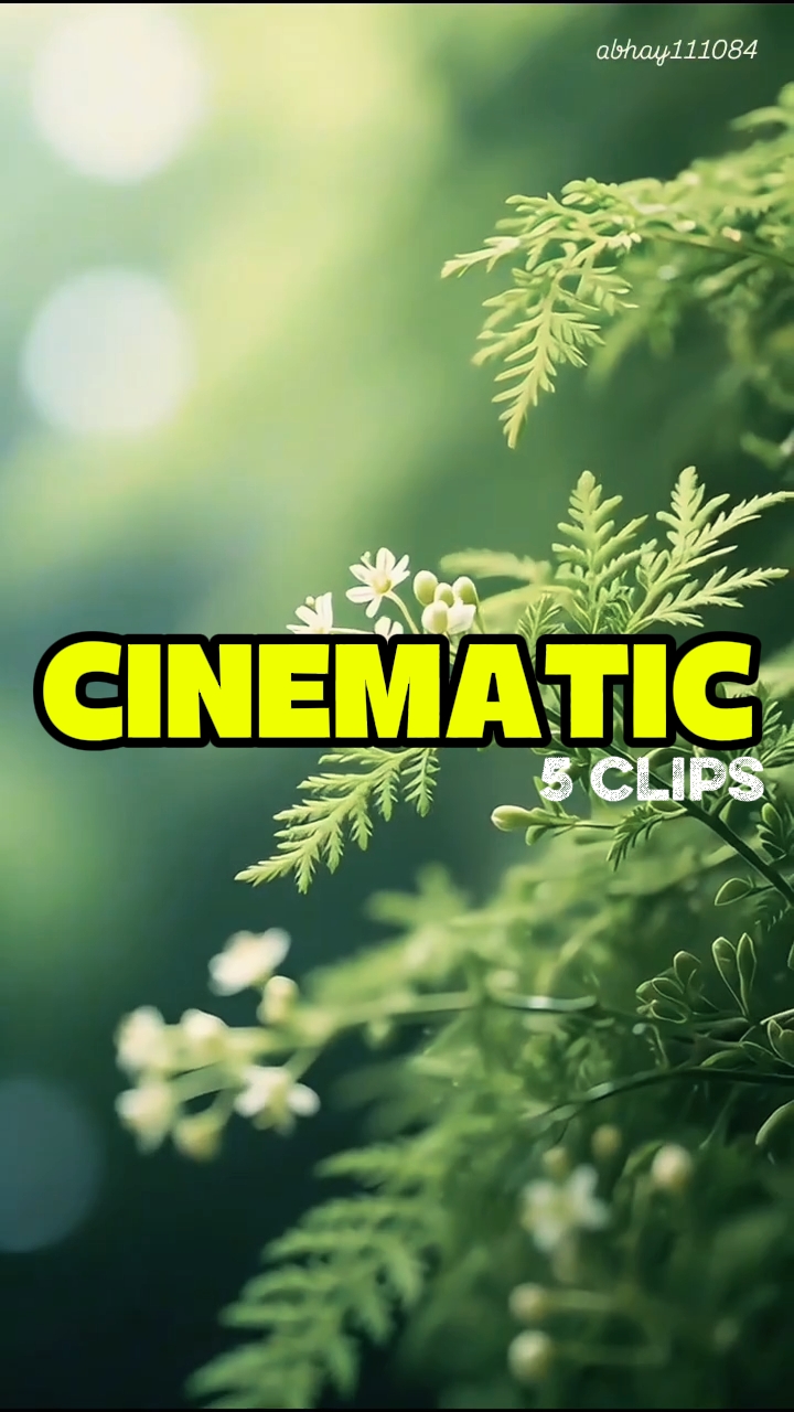 CINEMATIC 5 CLIPS 