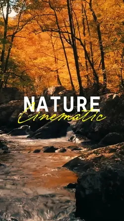cinematic Nature
