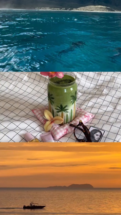 grid video