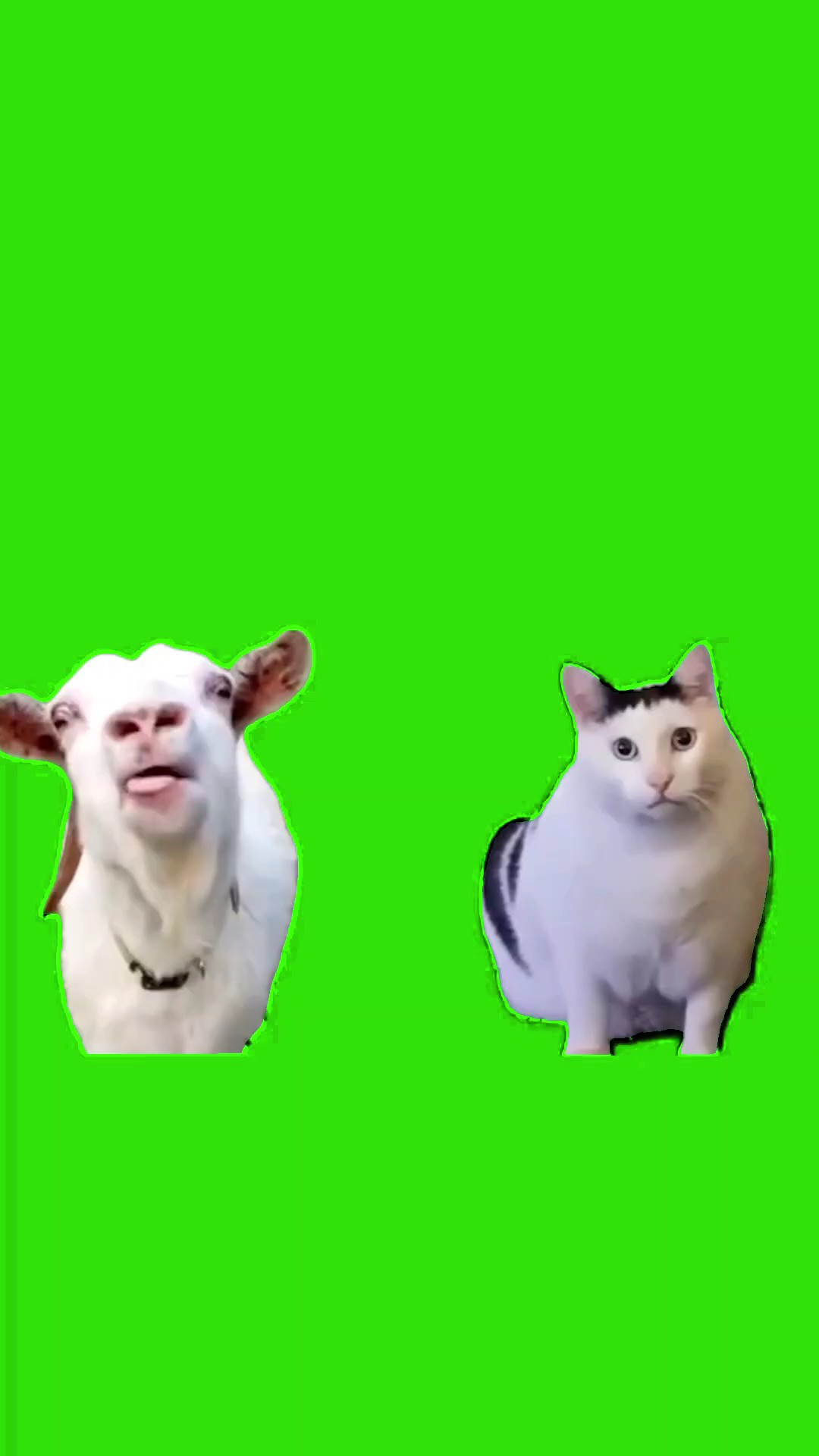 Hah????