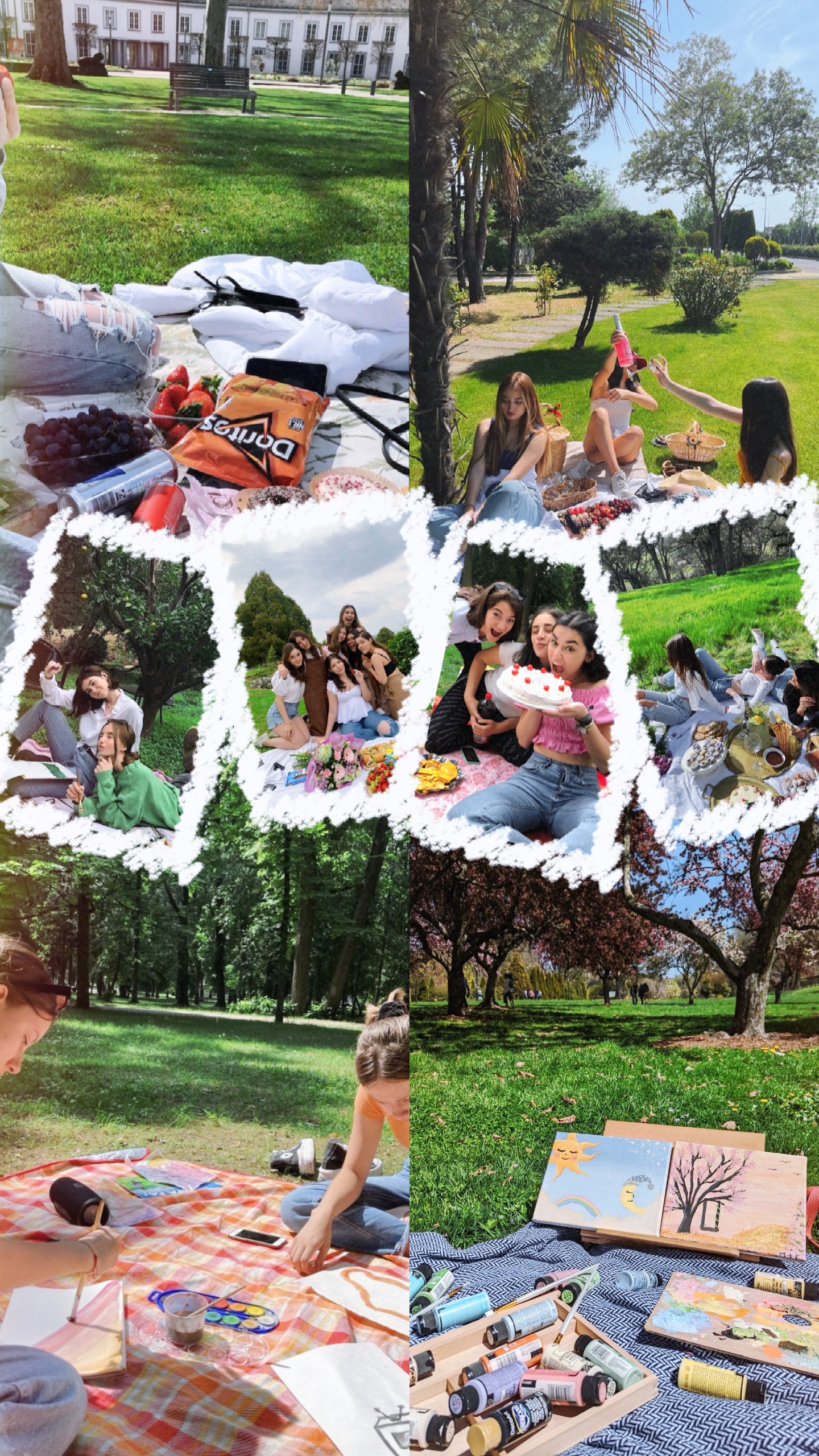 picnic with friends