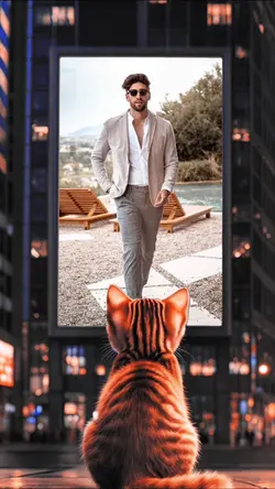 Video template