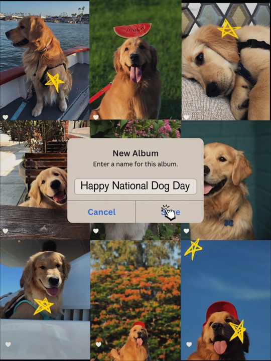 Día nacional del perro 