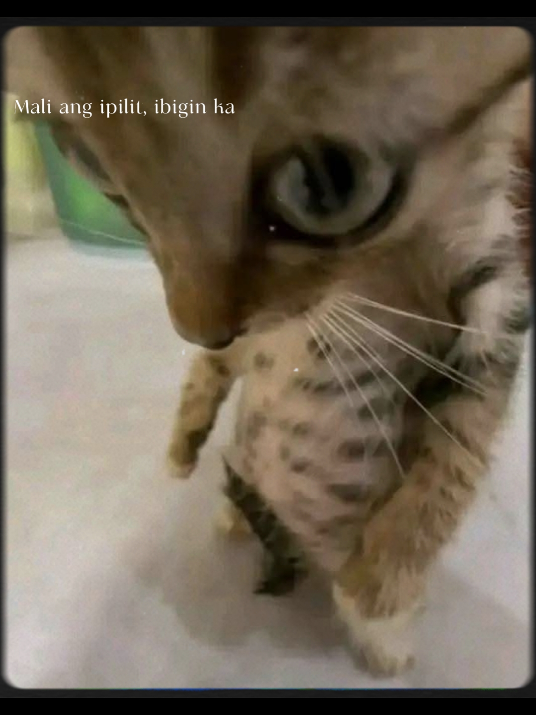 One Pic Templates of Heart Broken - Pippit