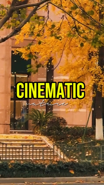 CINEMATIC NATURE 
