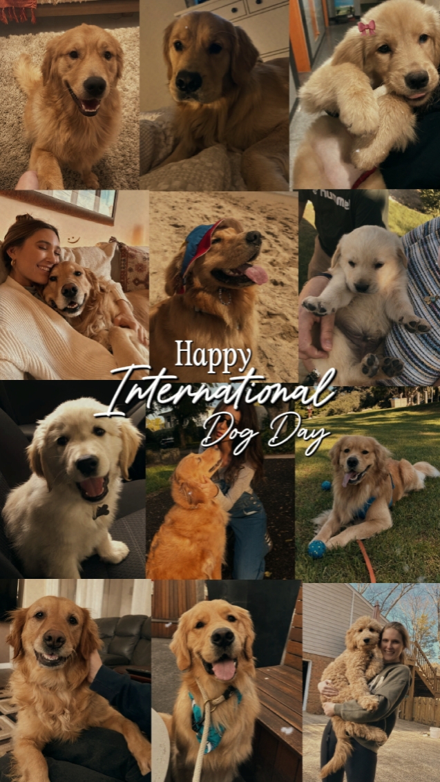 Happy Dog Day 