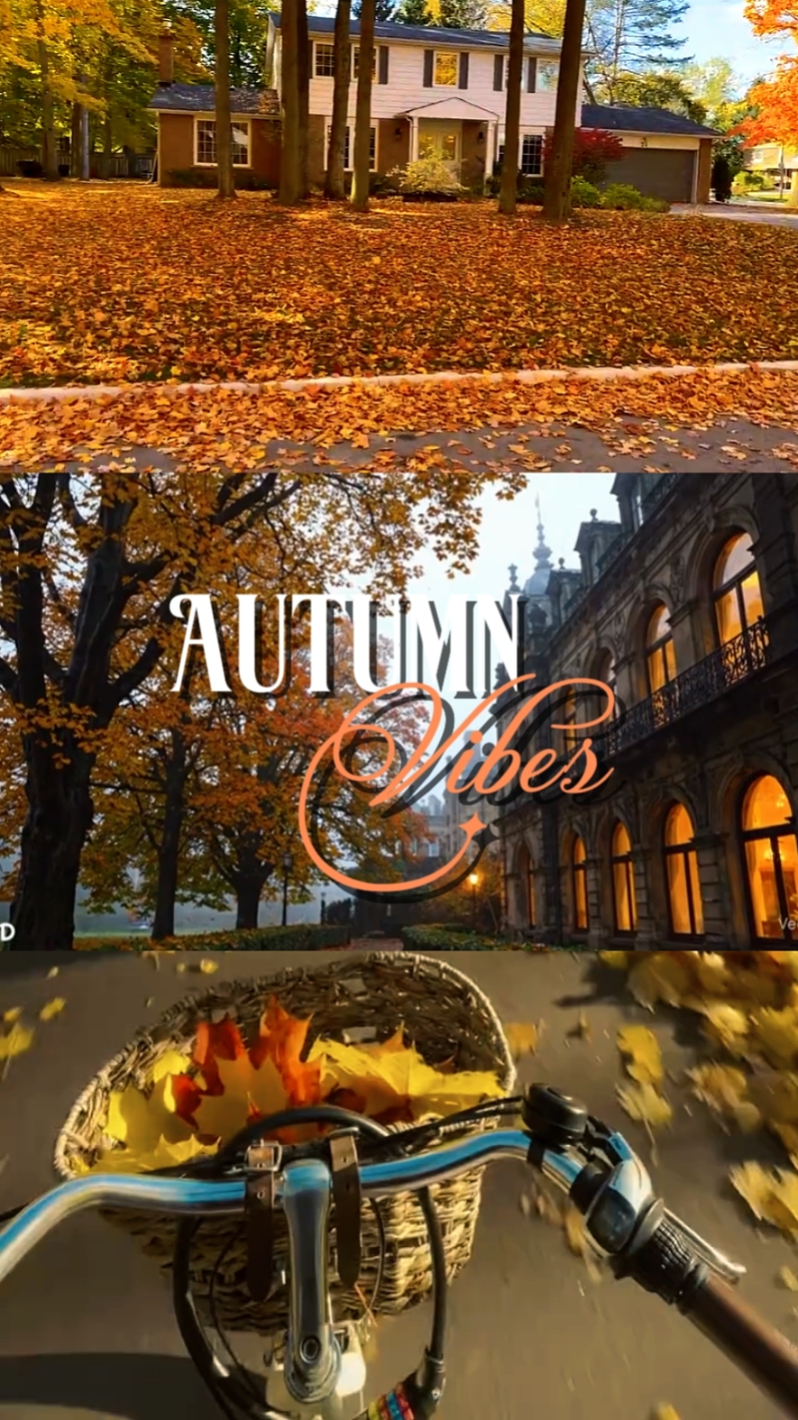 autumn vibes ⋆. 𐙚 ˚