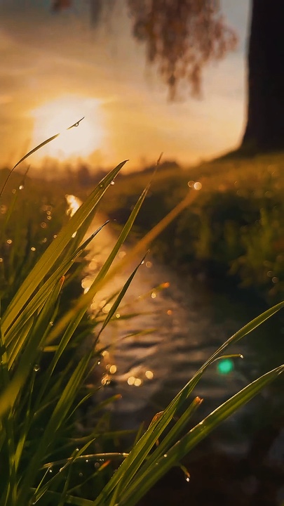 Cinematic Nature