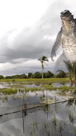 Godzilla