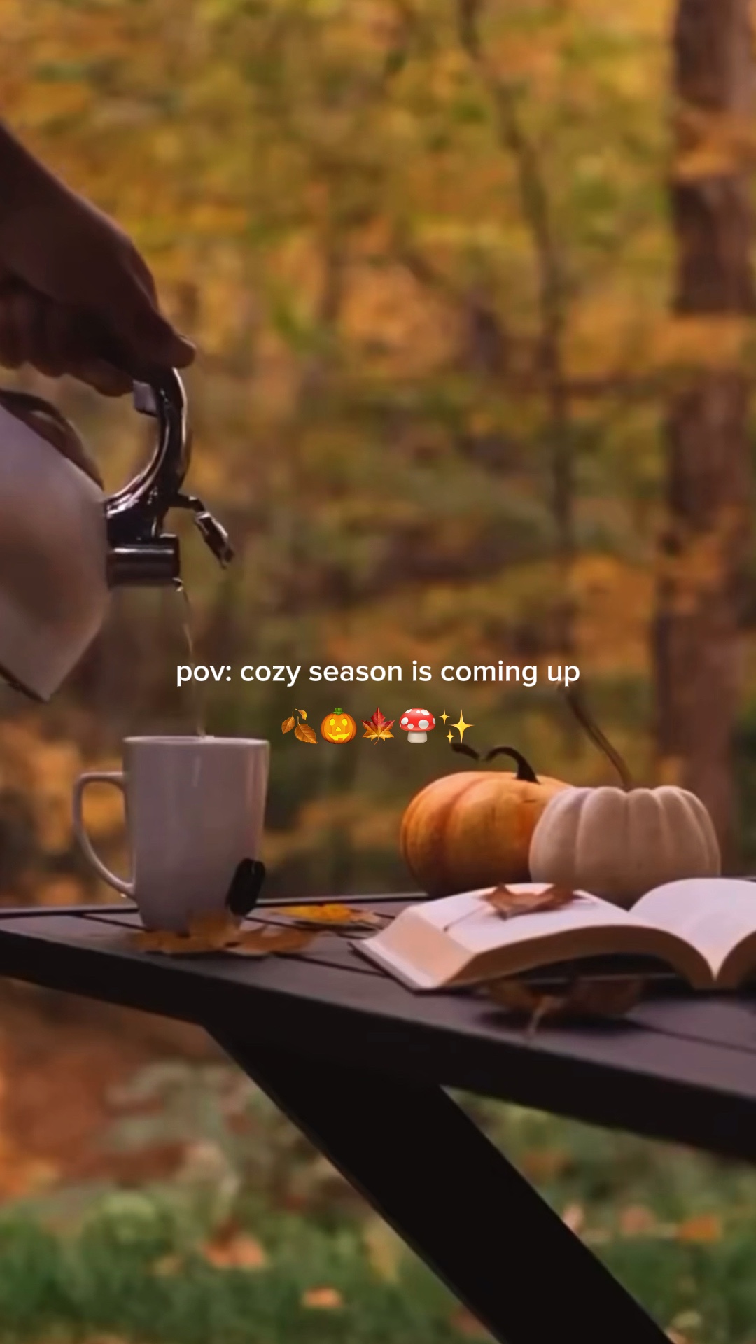 L'automne arrive 🍁☕️