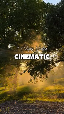 7 Videos Cinematic