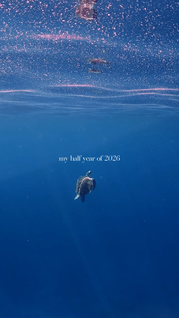 Meu semestre de 2026