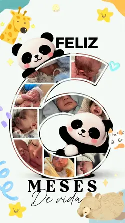 6 meses colagem