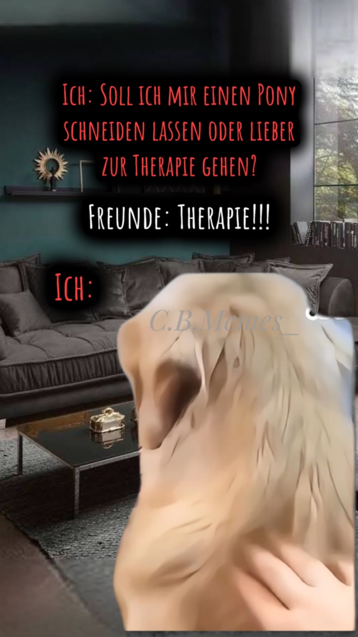 Perro Gracioso