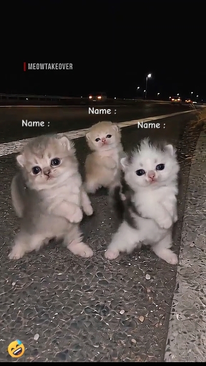 Write Your Names 