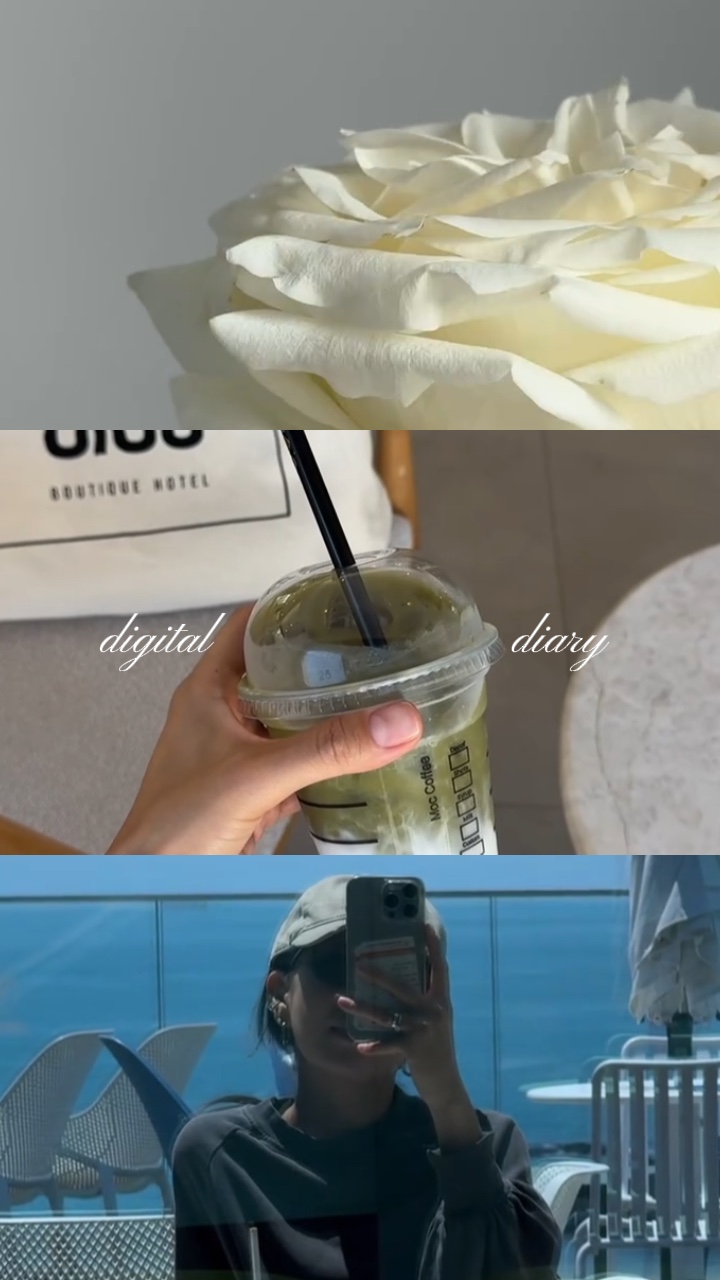 digital diary 