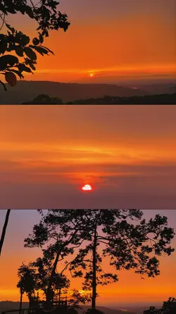 tata letak sunset