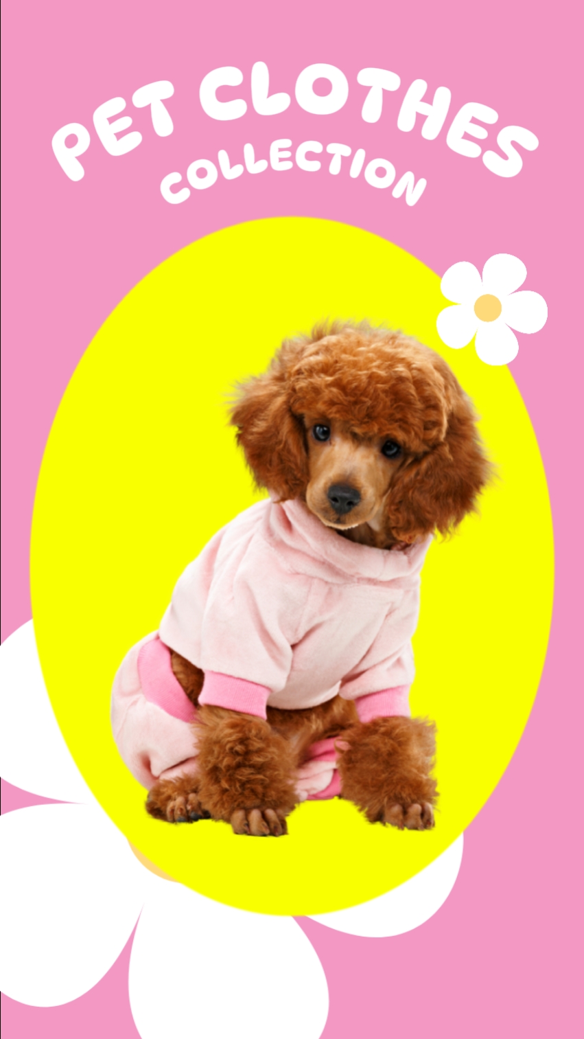Ropa para mascotas