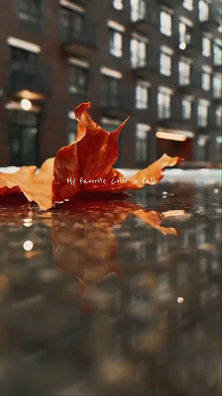 Herbstliche Liebe 
