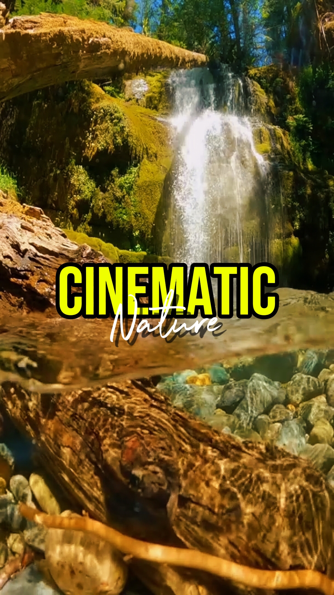 NATURE CINEMATIC