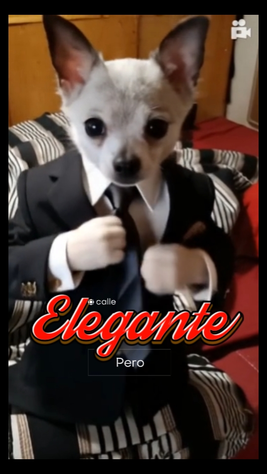 calle pero elegante 