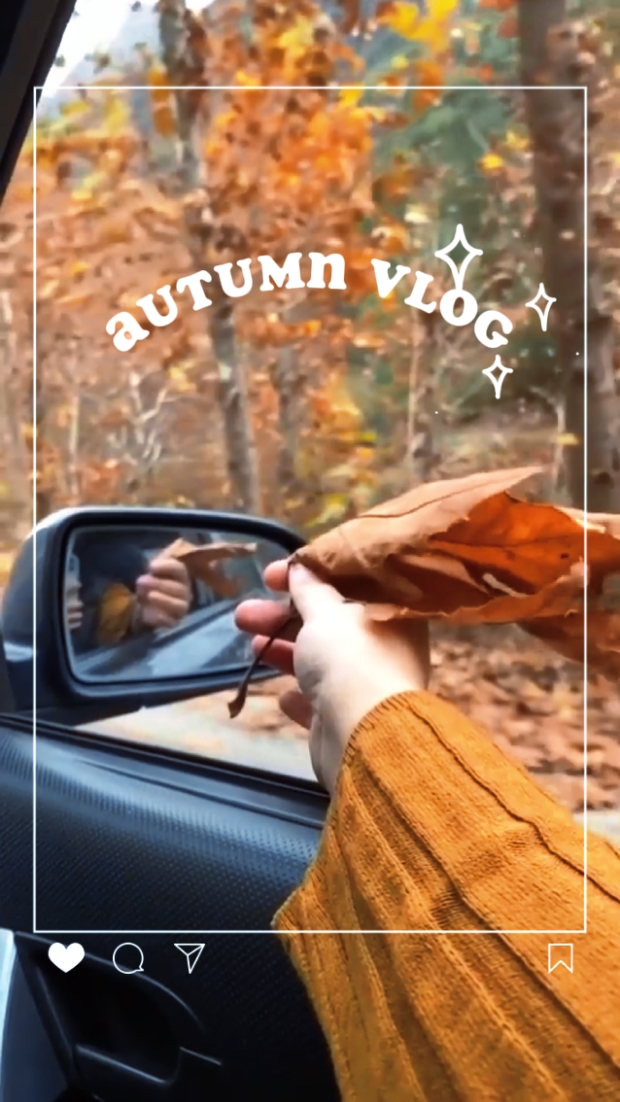Autumn vlog 