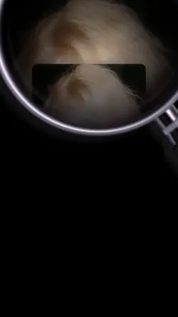 Smooth scale glow pu