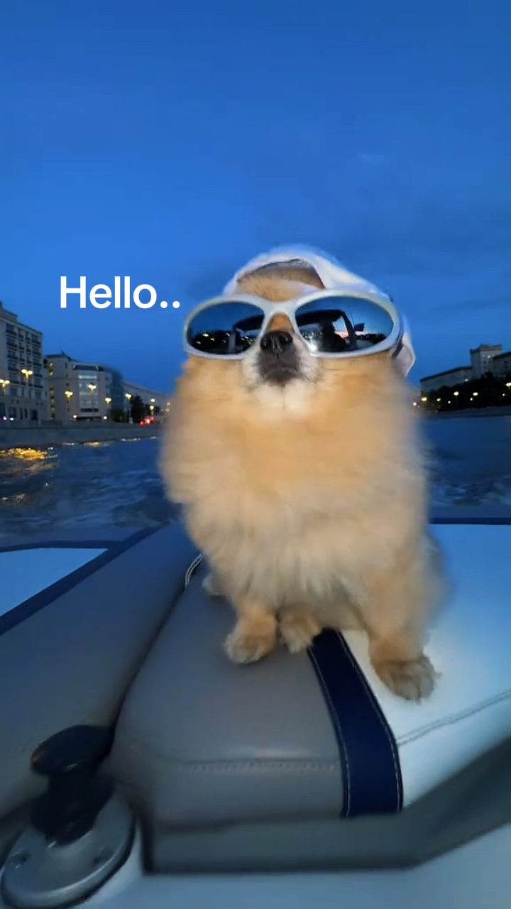 cute dog templates 🐶