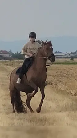 Horseriding Fail