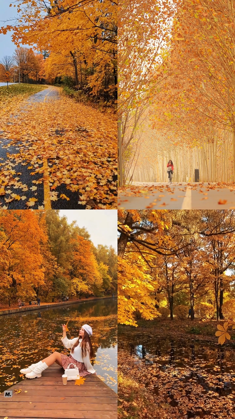 Automne