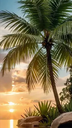 PalmTree