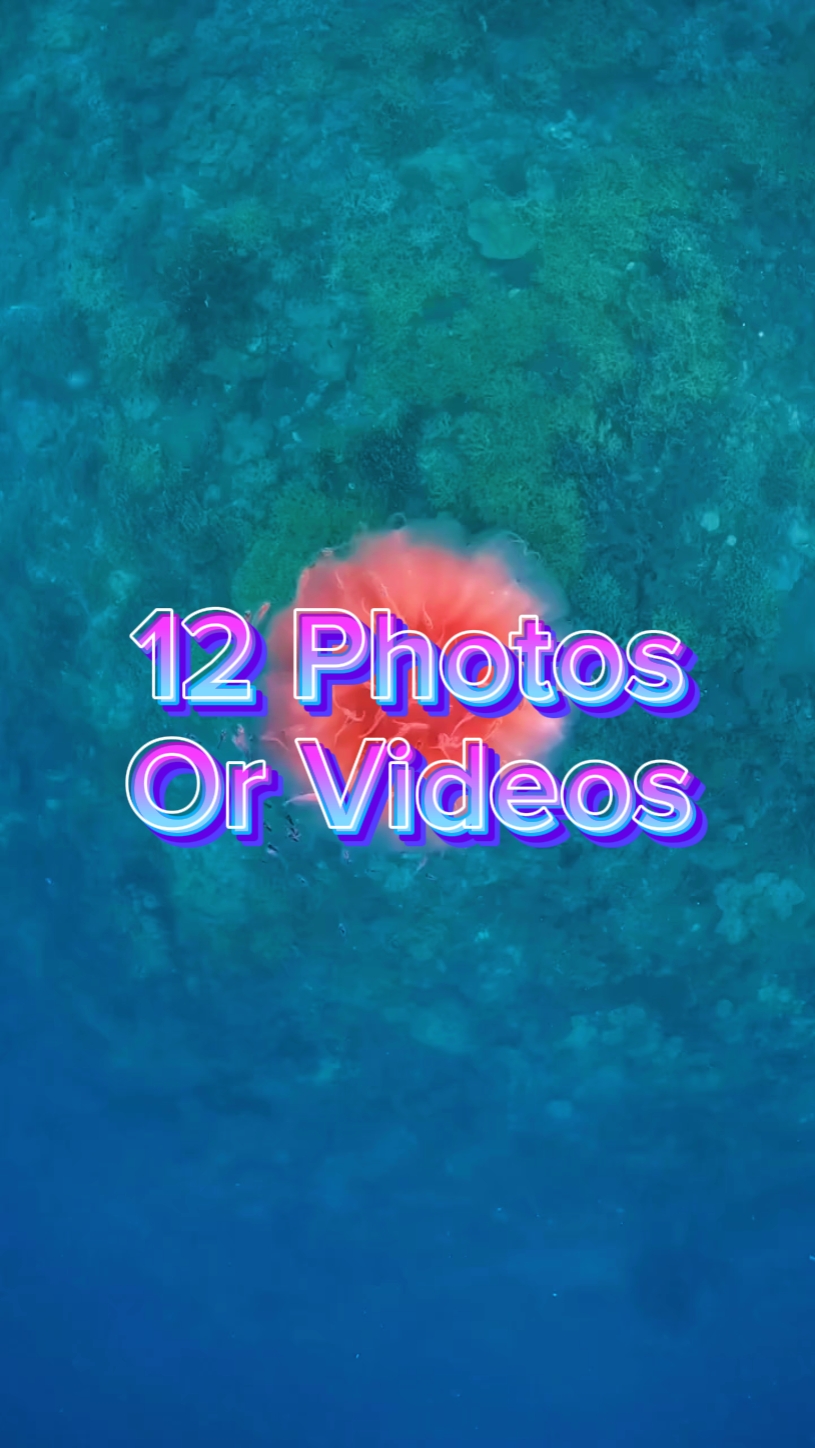 12 Photo Slides