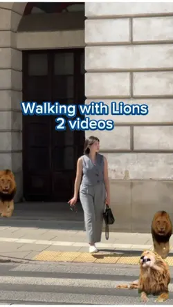 Walking with Lions