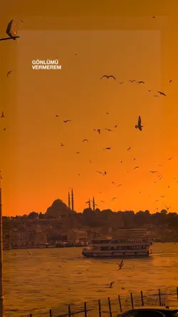 ücretsiz şarkı al