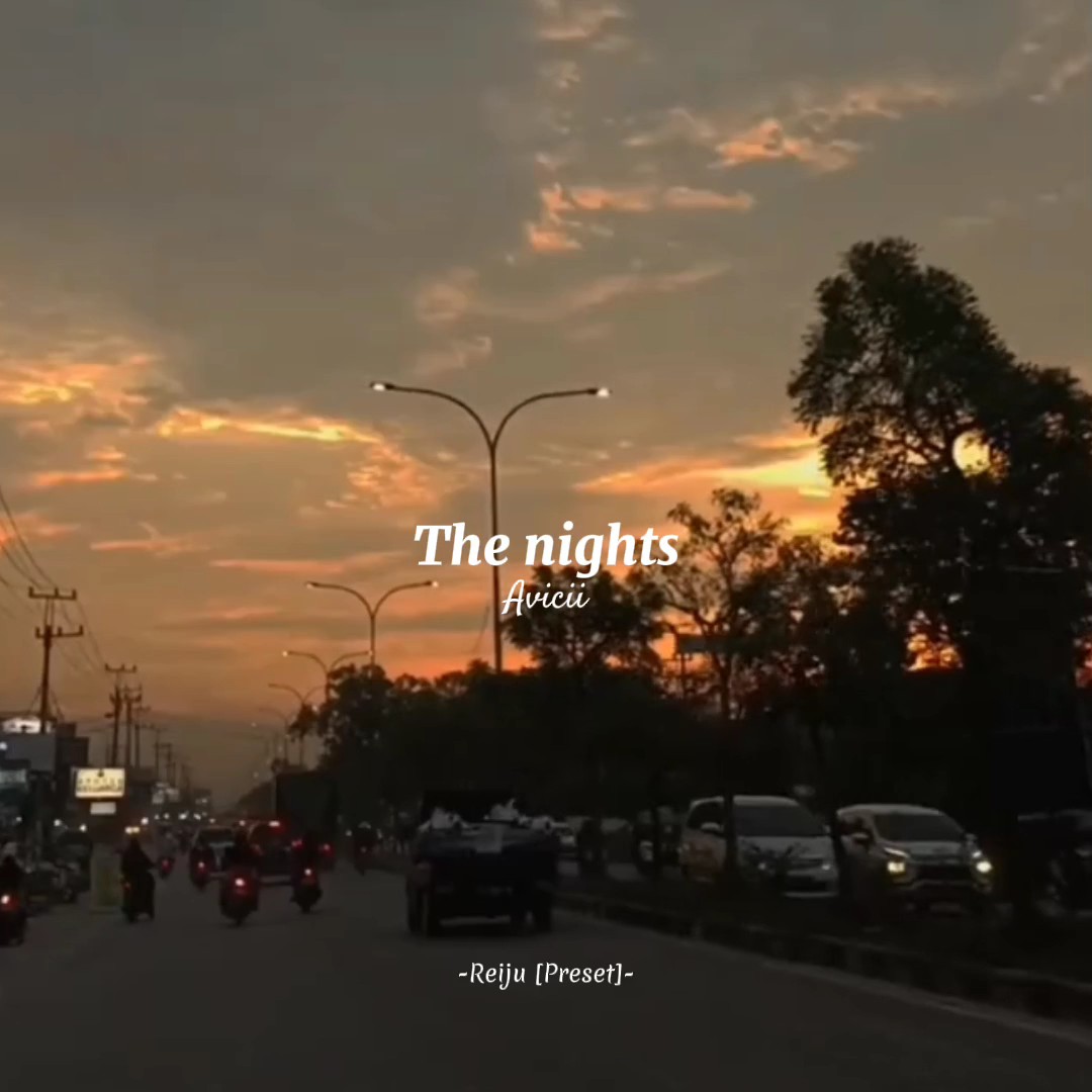 Avicii - The Nights