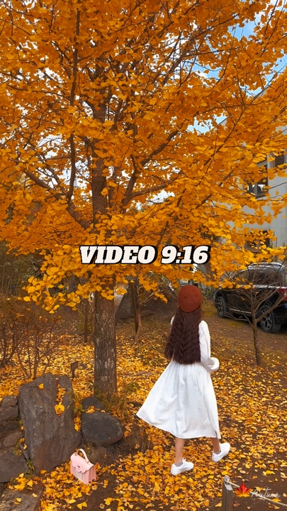 秋 2024 🍁