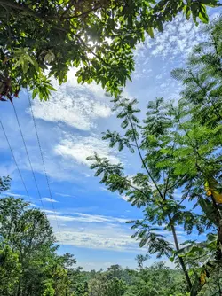filter ip hd jernih