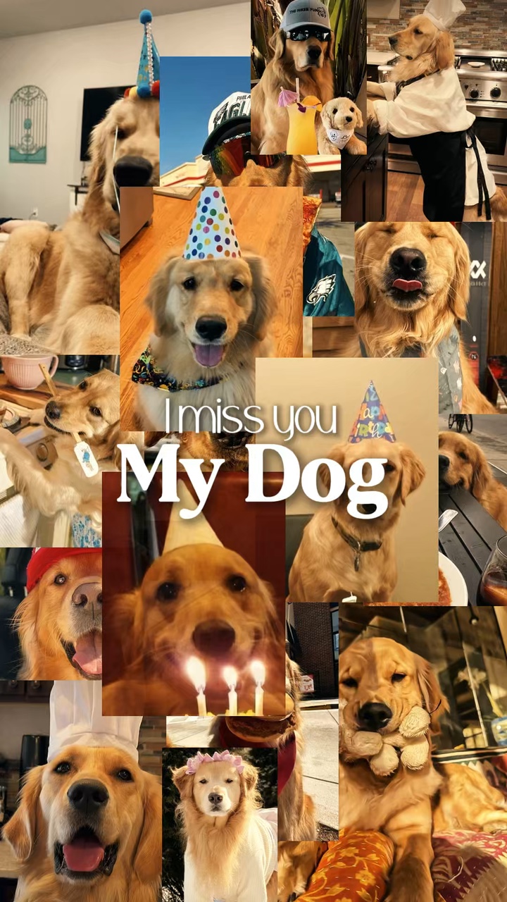 I miss you, dog