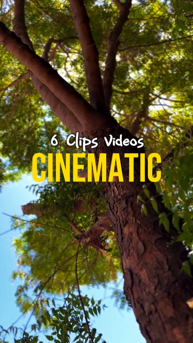6 CLIPS CINEMATIC