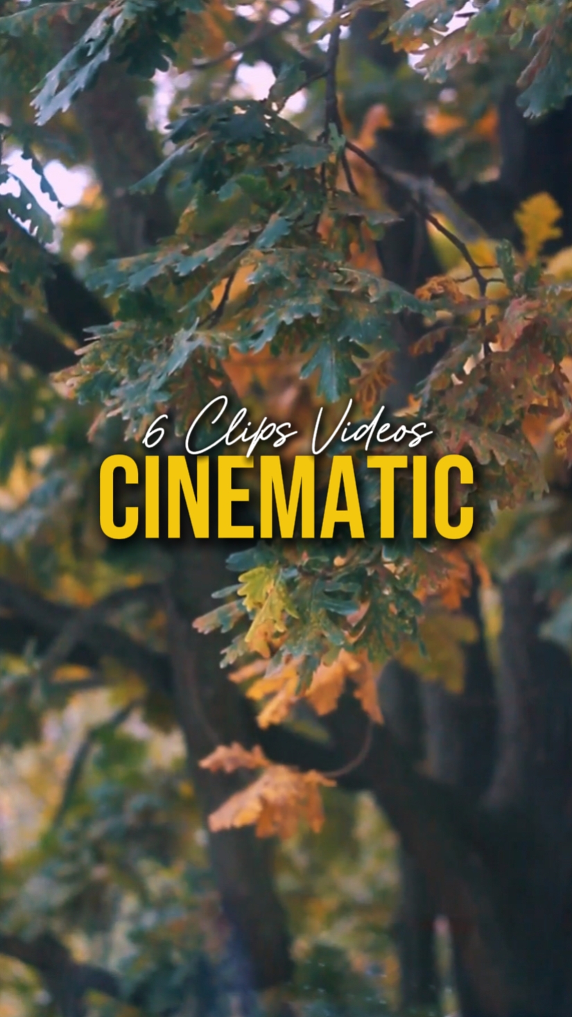 KINEMATIC 6 NA MGA VIDEO