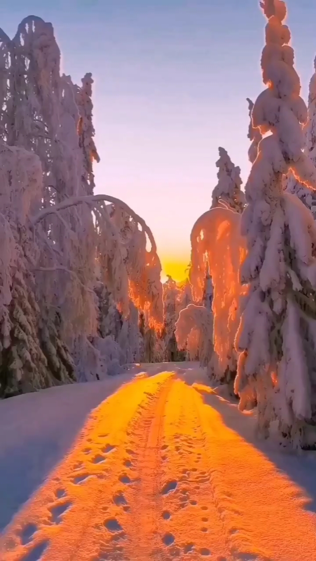 nature