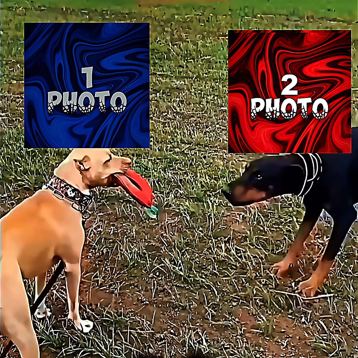 New Trending Edit